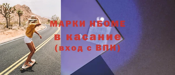 сатива Аркадак