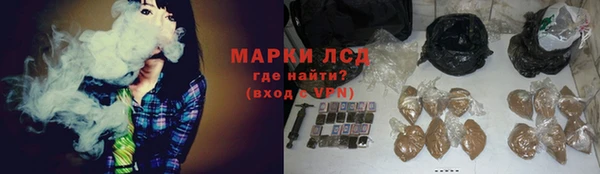 ГАЛЛЮЦИНОГЕННЫЕ ГРИБЫ Балабаново