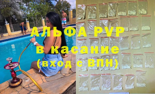 сатива Аркадак