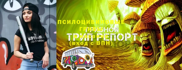 первитин Арсеньев