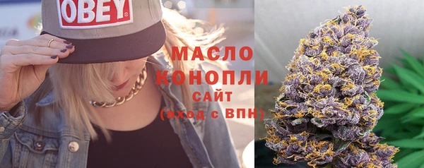 сатива Аркадак