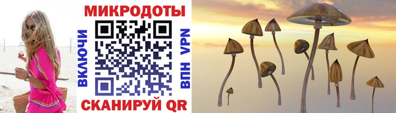 Галлюциногенные грибы Psilocybe  сколько стоит  Мензелинск 